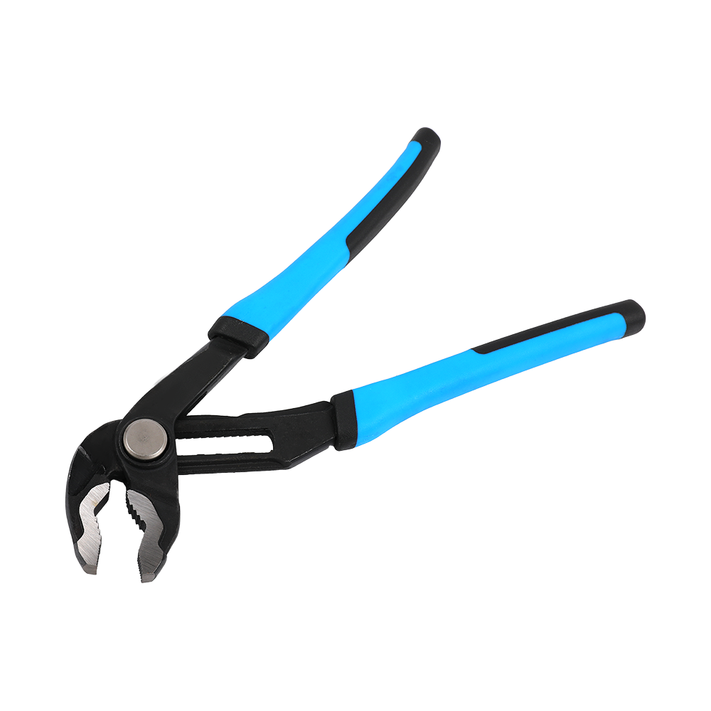 Aqua sentinam pinceras