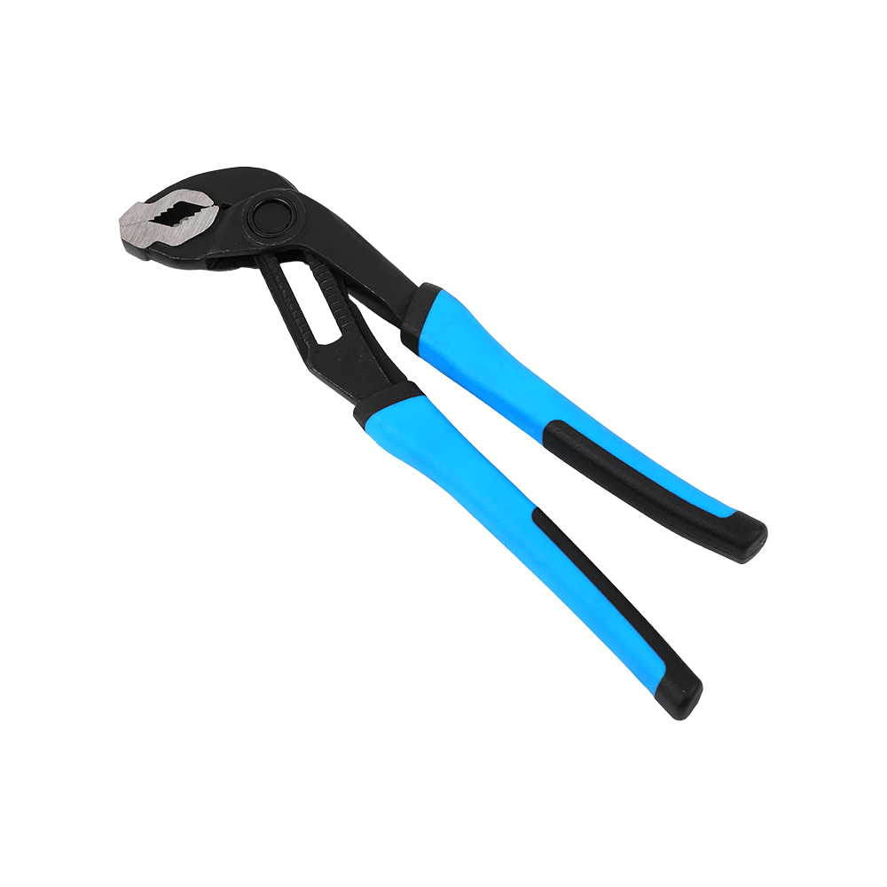 Aqua sentinam pinceras