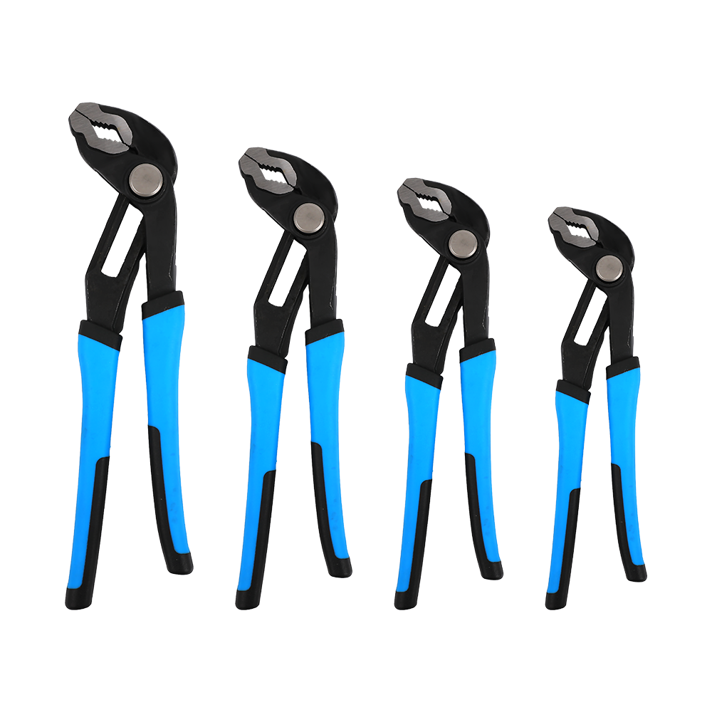 Aqua sentinam pinceras