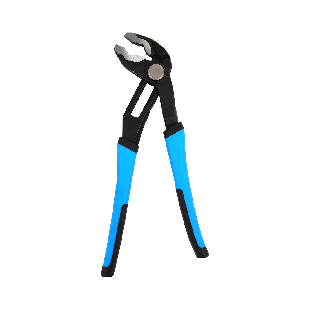 Aqua sentinam pinceras